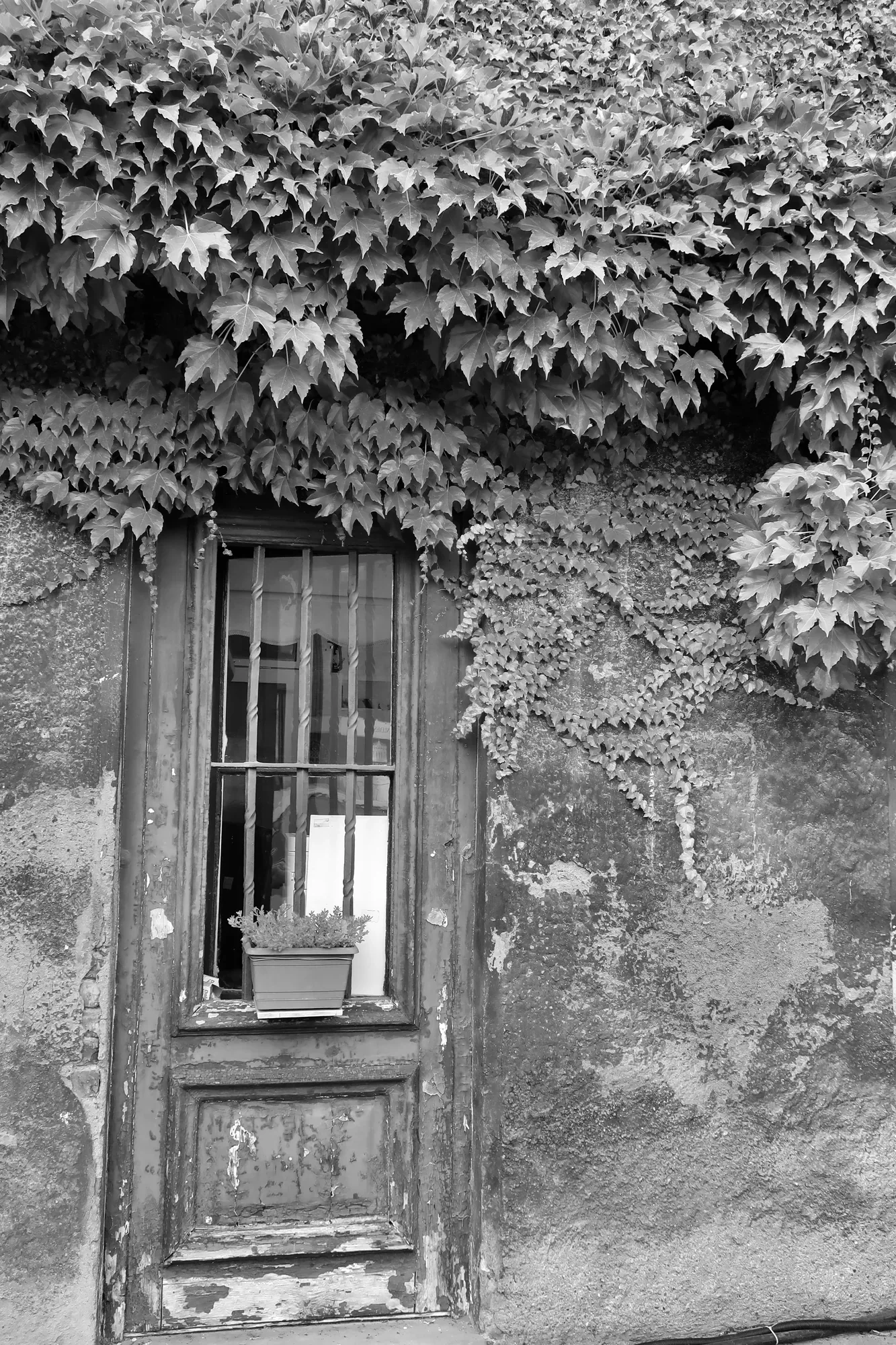 Fotoğraf #85