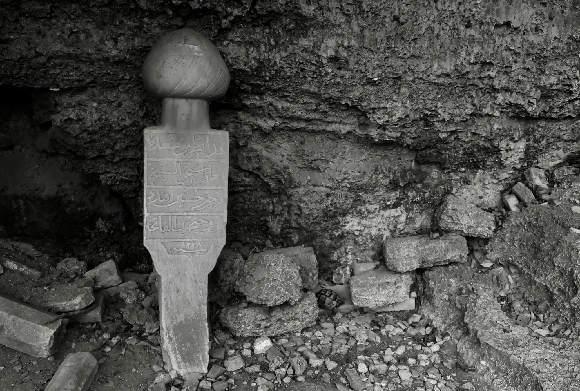 Fotoğraf #86