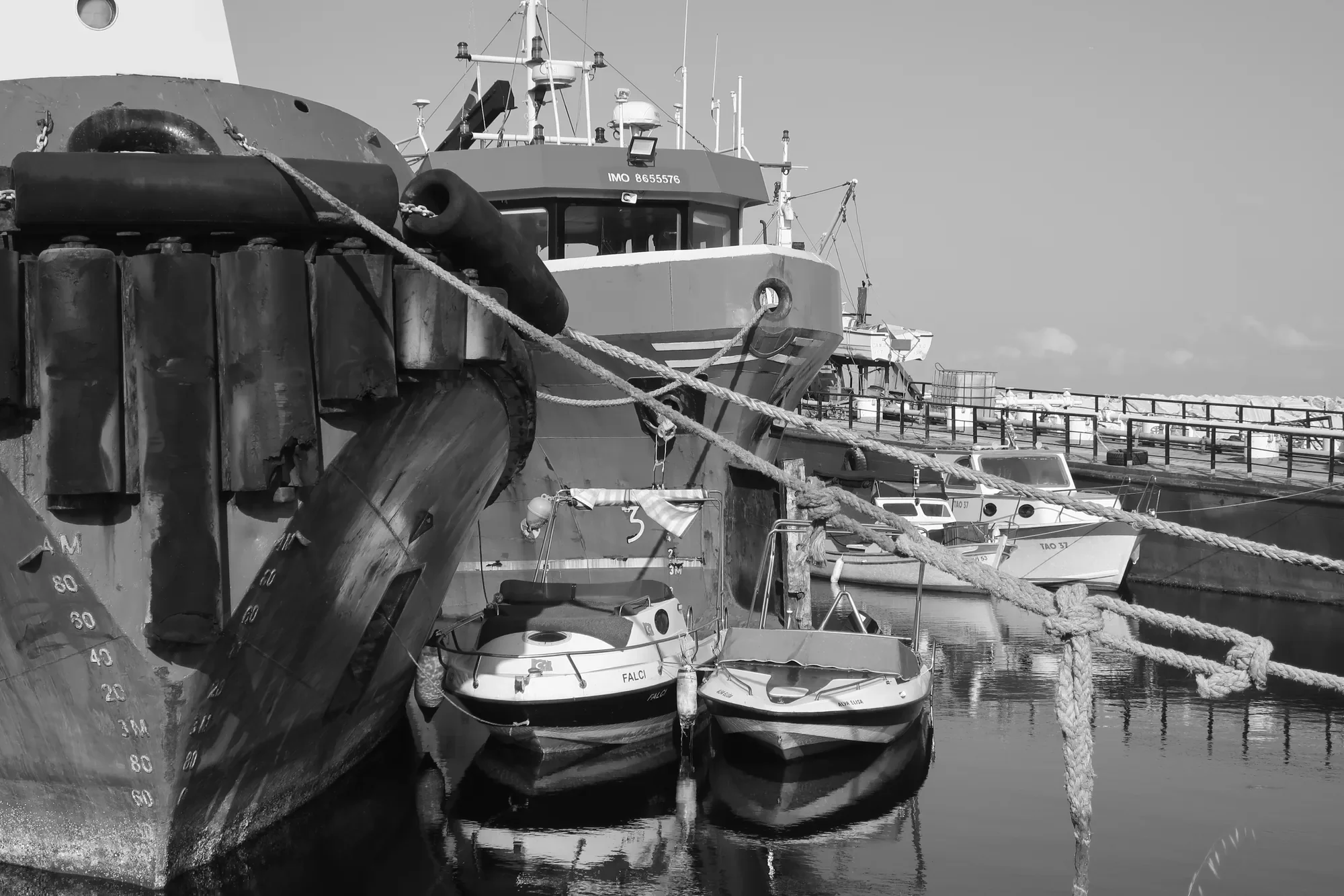 Fotoğraf #96