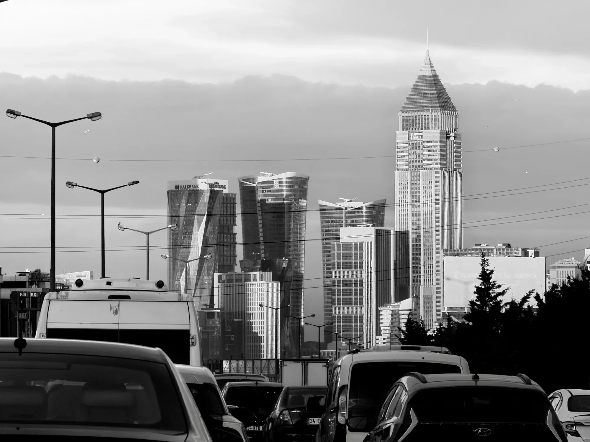 Fotoğraf #98